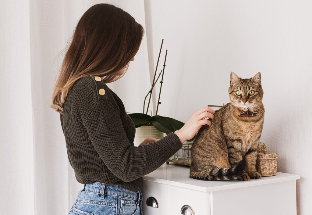 Pet Grooming Dubai